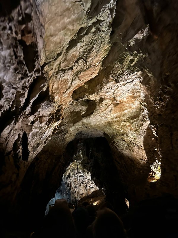Comment organiser une aventure de spéléologie dans les grottes de Postojna en Slovénie ?